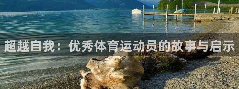 球王会体育