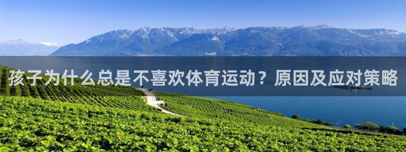 球王会体育